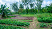 Les fermes pilotes prouvent que d’autres pratiques sont possibles