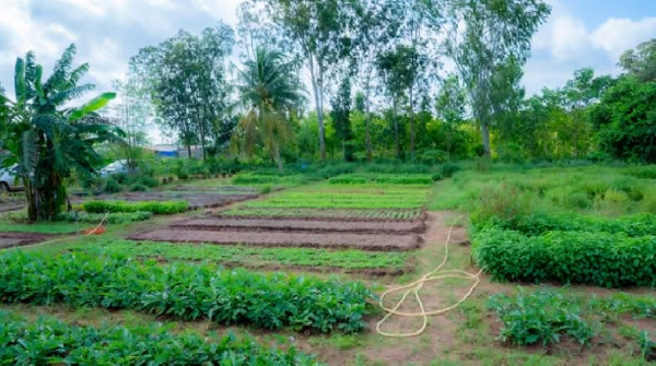 Les fermes pilotes prouvent que d’autres pratiques sont possibles
