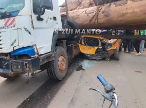 Bois Renverse Sur Un Vehicule