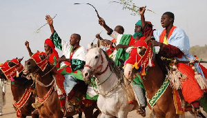 Chevaux Nord Cameroun