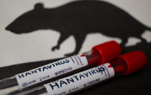 Hantavirus Cameroun