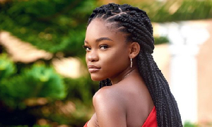 Pillage de ressources