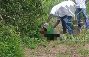 Nouveau carnage dans le nord du Cameroun