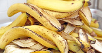 L’argent que la banane rapporte au Cameroun