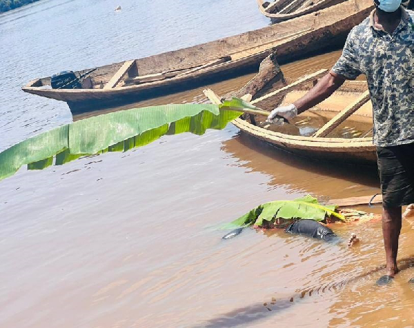 Pirogue chavirée