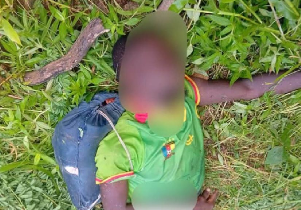 L'intervention rapide de l’armée camerounaise a permis de neutraliser un terroriste