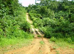 Coup de tonnerre : un dirigeant camerounais retrouvé mort dans une broussaille