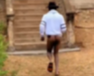 Marche Nue D'un Opposant Modified