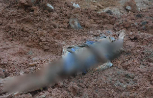 La découverte des restes de Djoufack porte à 14 le nombre total de corps exhumés sur le site