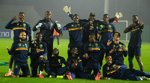 Lions Indomptables Photo