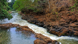Riviere Au Cameroun