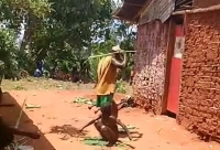 Barbarie dans le village