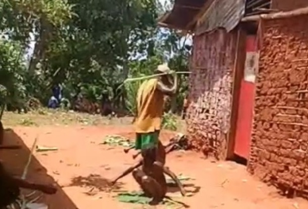 Barbarie dans le village