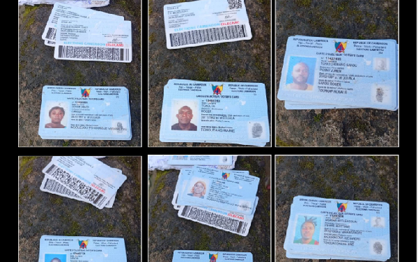 Des cartes d'électeur dans la rue