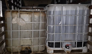 Grosse prise à Tsinga