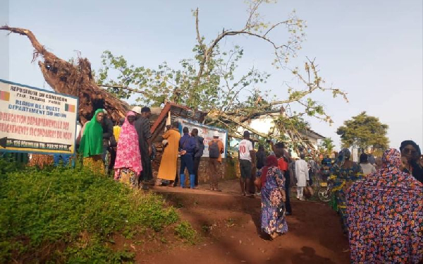 un baobab tombe sur un hôpital et endeuille la ville de Foumban