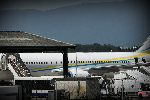 Drame national : l'avion de Paul Biya heurte un arbre
