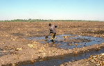 La terre, l’eau, les pâturages et les forêts sont souvent gérés par des programmes séparés
