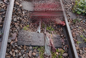 Corps Retrouve Sur Les Rails