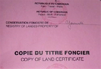 Patrimoine foncier