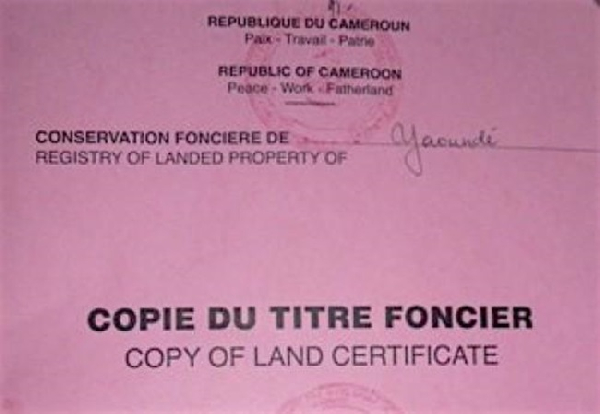 Patrimoine foncier