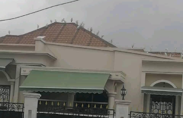 Le domicile de Issa Tchiroma