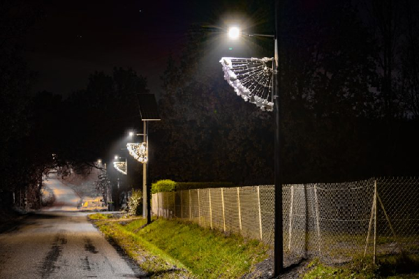 Mauvaise gestion et vol