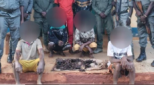 Des trafiquants d'organes humains arrêtés