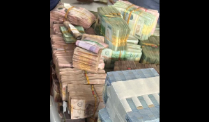 Plusieurs camerounais ont été arrêtés