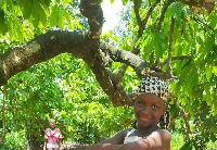 Disparition de personnes