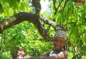 Disparition D'enfants