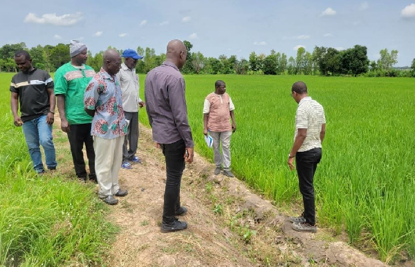 Agriculteurs et chercheurs observent une parcelle expérimentale près de Soa