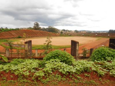 Bafoussam : Le stade omnisport transformé en plantation